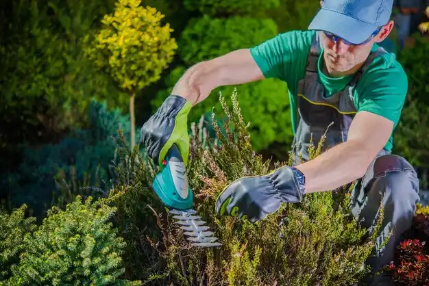 landscaping services Berkley